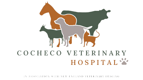 Cocheco Veterinary Hospital